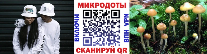 закладки Новочебоксарск Псилоцибиновые грибы MAGIC MUSHROOMS