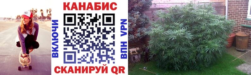 Каннабис SATIVA & INDICA omg ONION Новочебоксарск